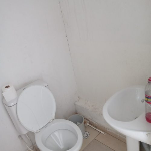 IMG_20230222_112429326