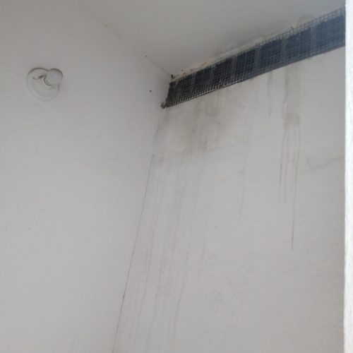 IMG_20230222_112440973